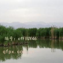 Ҹ